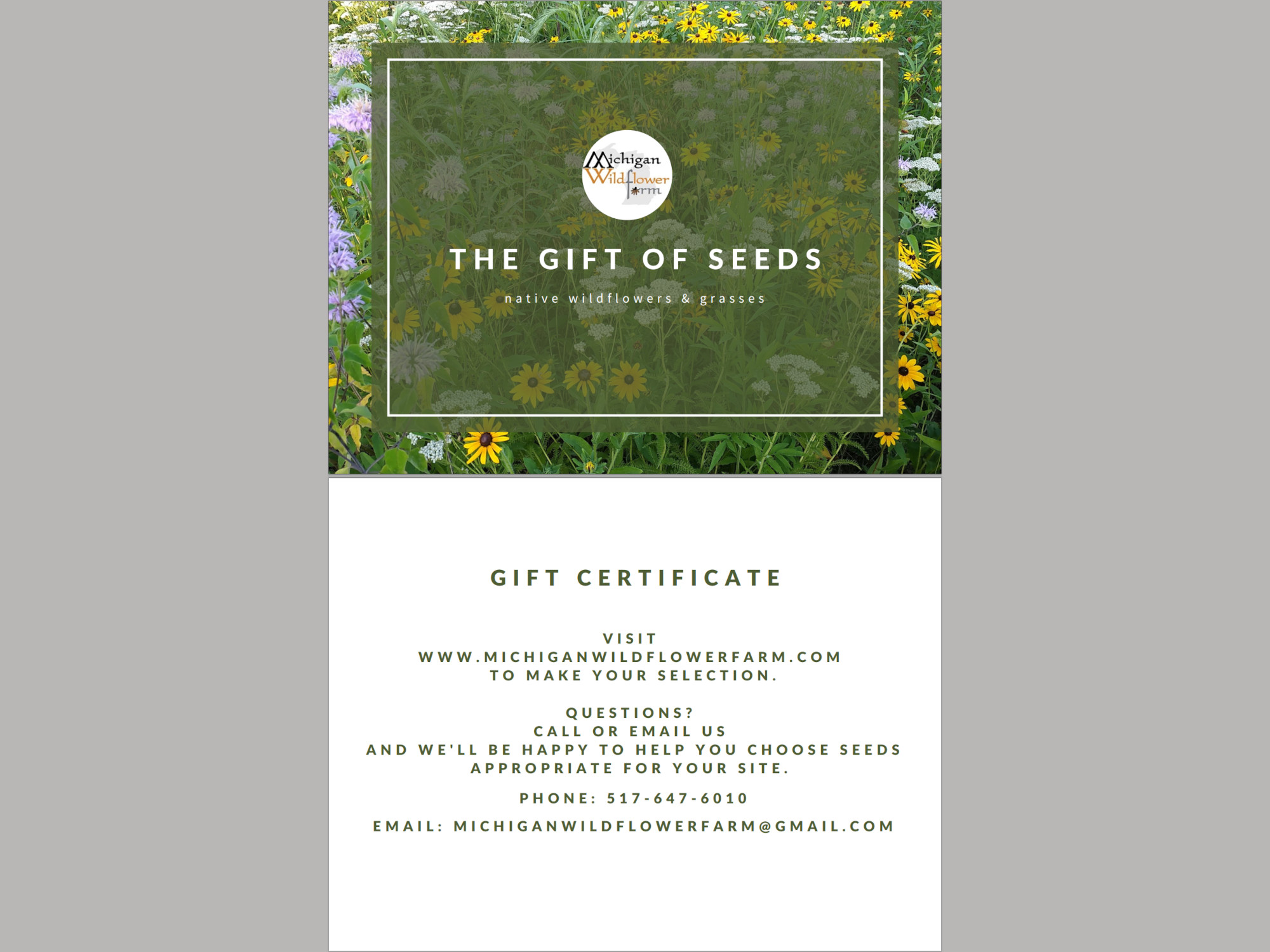 Purchase 2019's Wilderness Adevntures Gift Certificates Now